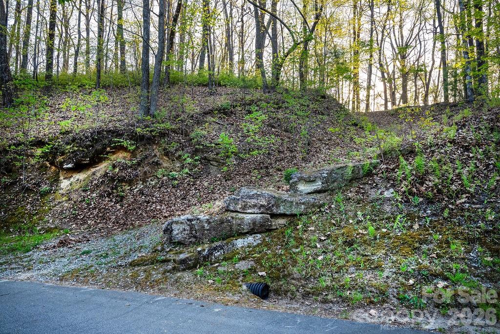 175 Skyview Road Lake Toxaway NC 28747