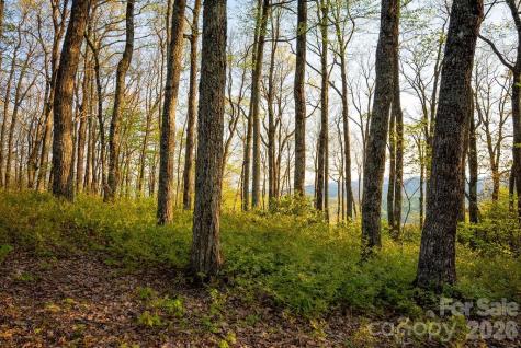 175 Skyview Road Lake Toxaway NC 28747