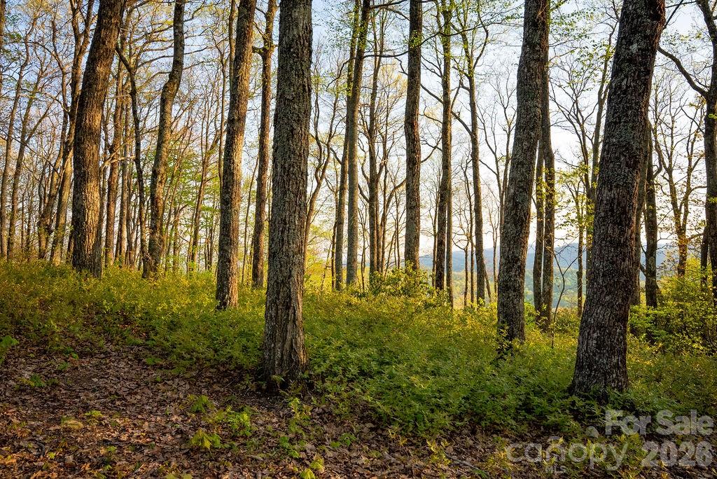 175 Skyview Road Lake Toxaway NC 28747