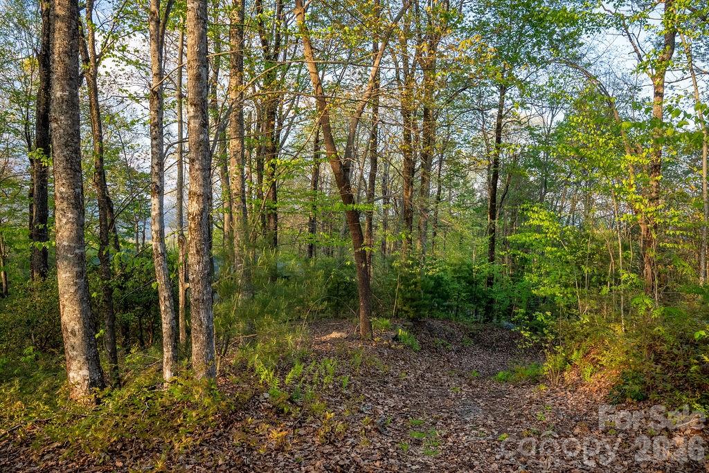 175 Skyview Road Lake Toxaway NC 28747