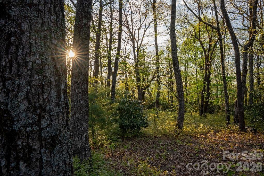 175 Skyview Road Lake Toxaway NC 28747