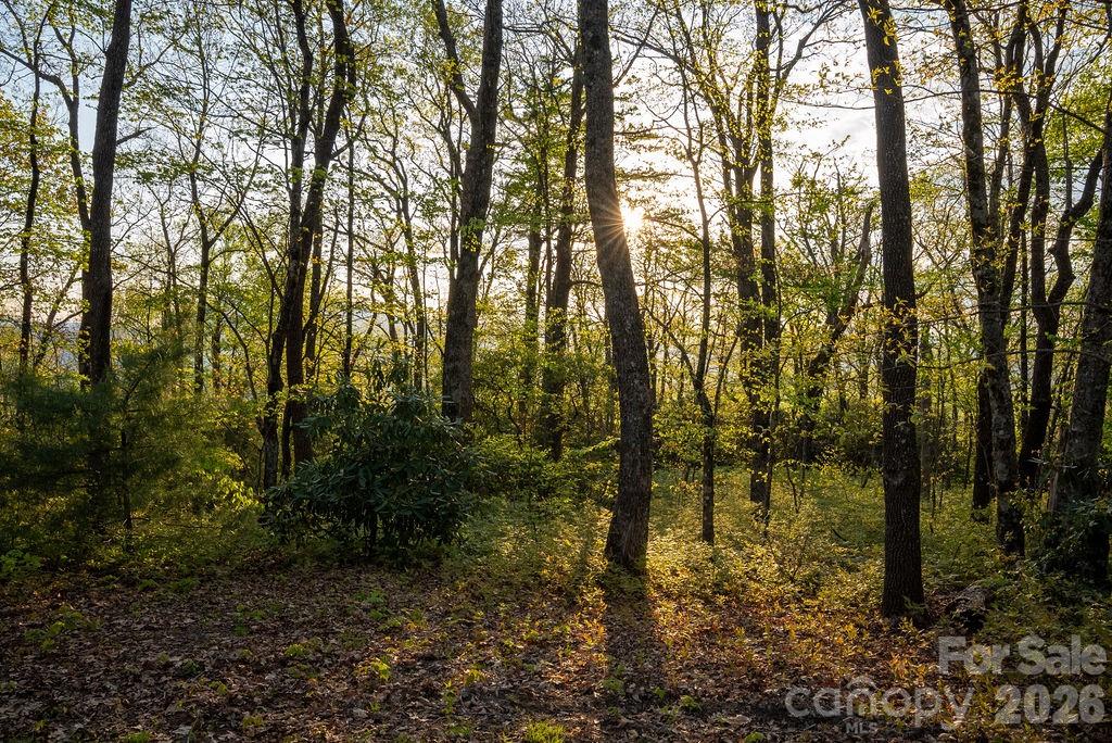 175 Skyview Road Lake Toxaway NC 28747