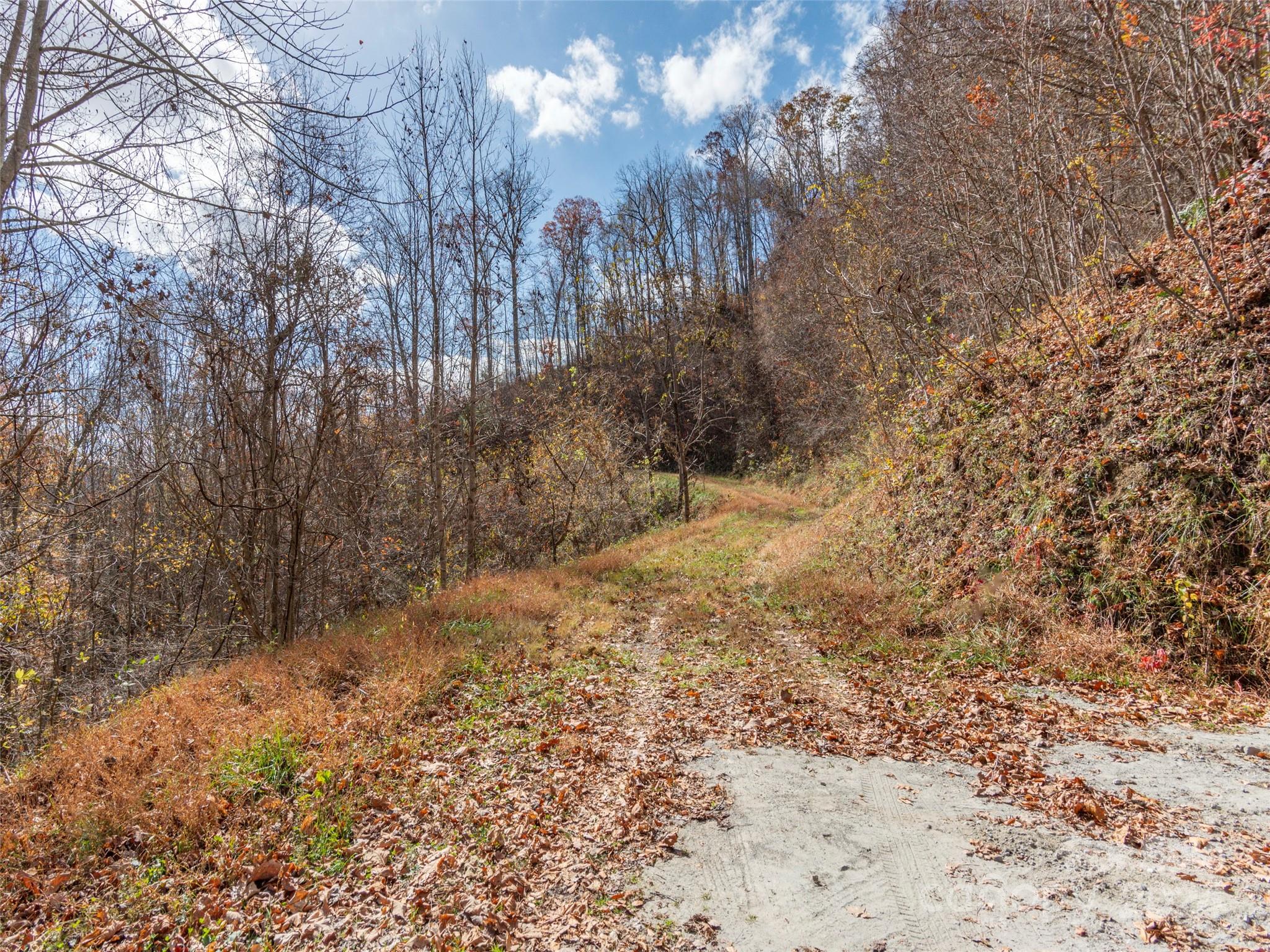 Lot 5 Mcnary Drive Clyde NC 28721