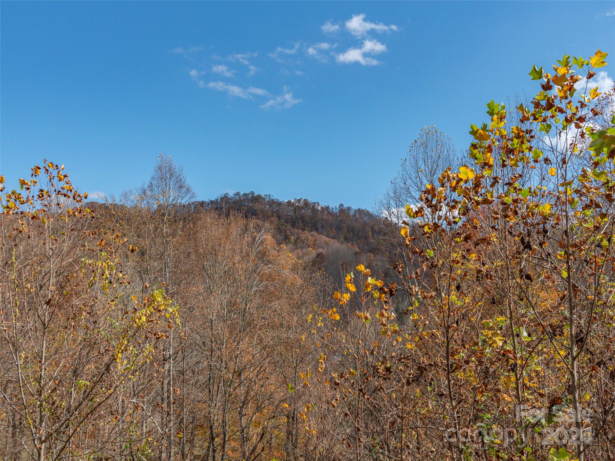 Lot 5 Mcnary Drive Clyde NC 28721