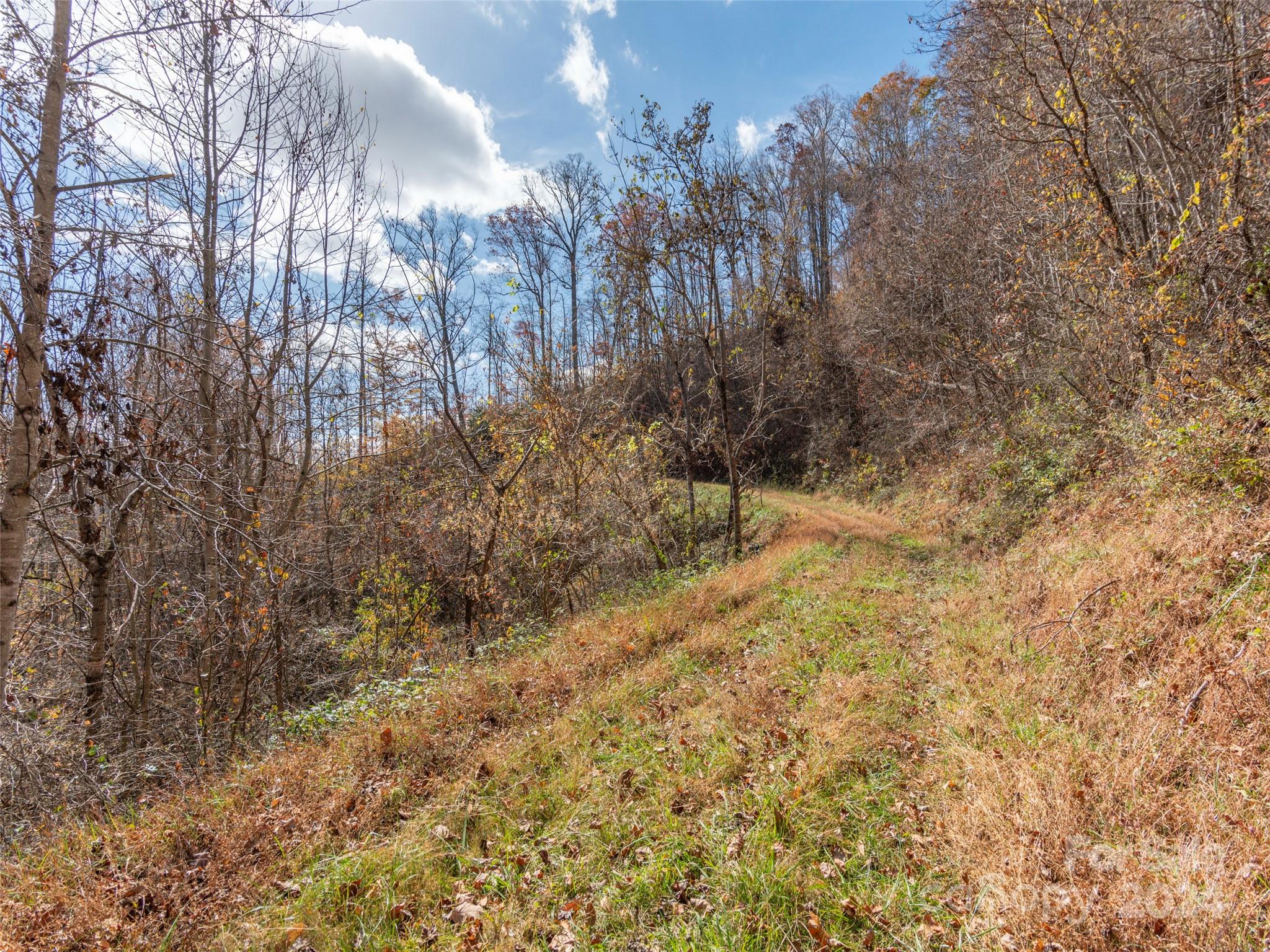 Lot 5 Mcnary Drive Clyde NC 28721