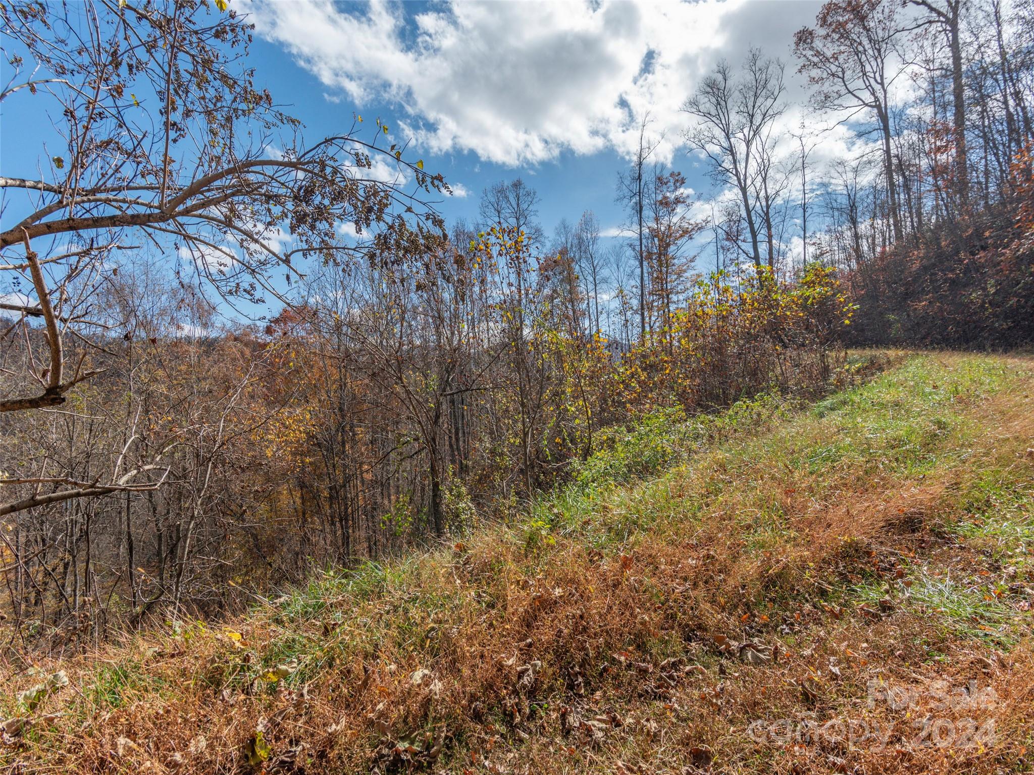 Lot 5 Mcnary Drive Clyde NC 28721