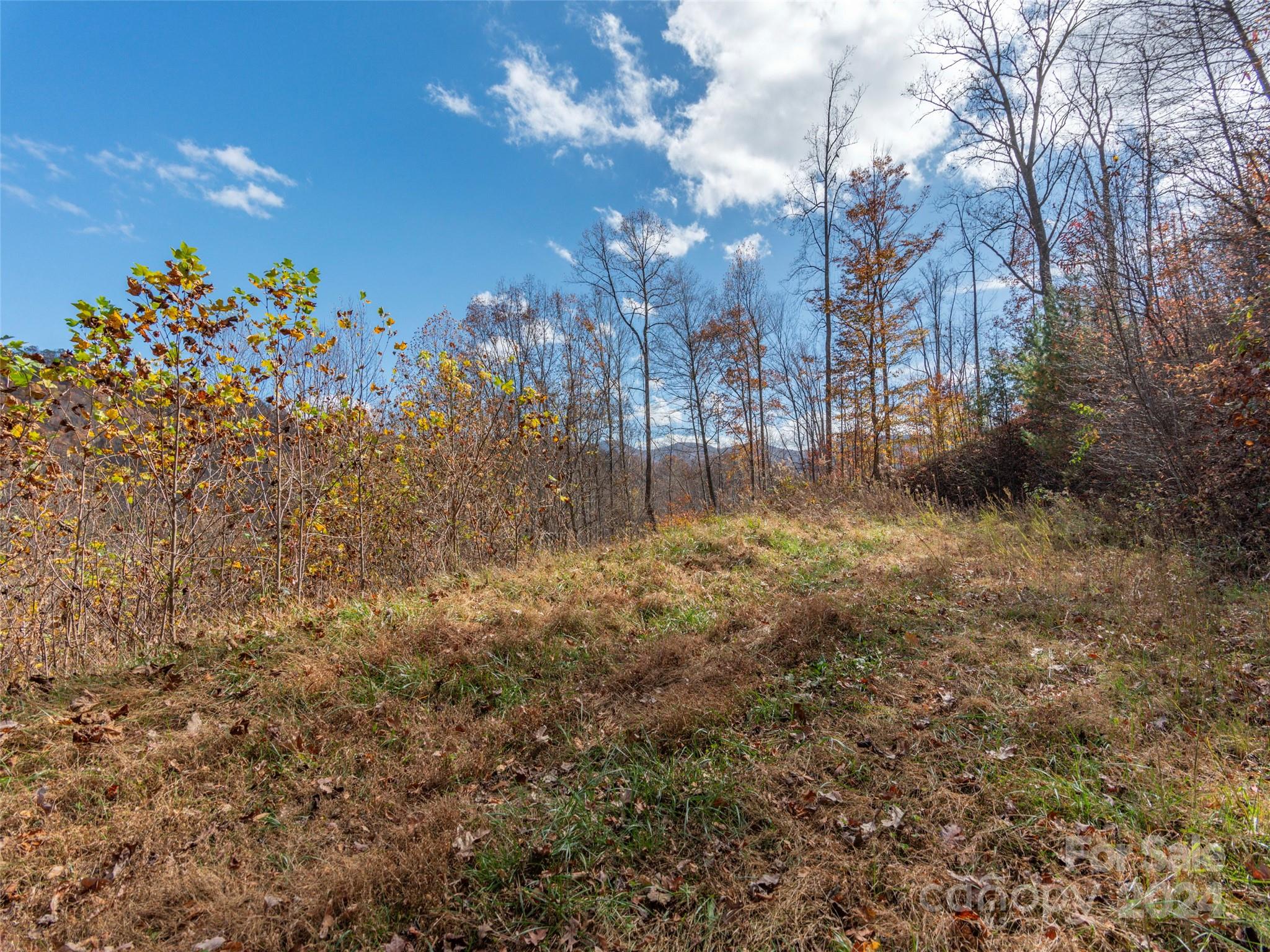 Lot 5 Mcnary Drive Clyde NC 28721