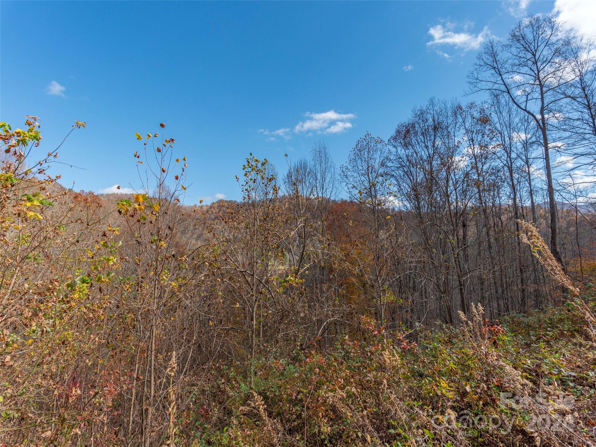 Lot 5 Mcnary Drive Clyde NC 28721