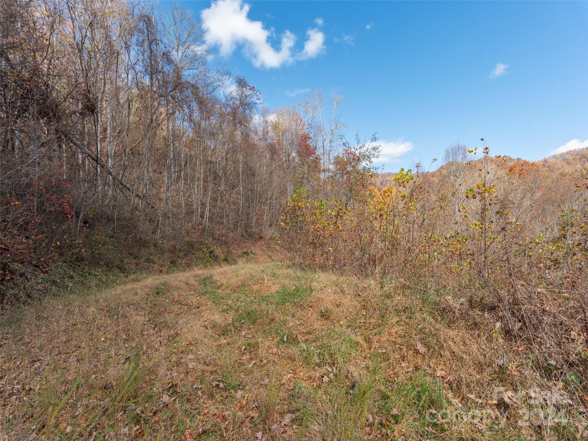 Lot 5 Mcnary Drive Clyde NC 28721