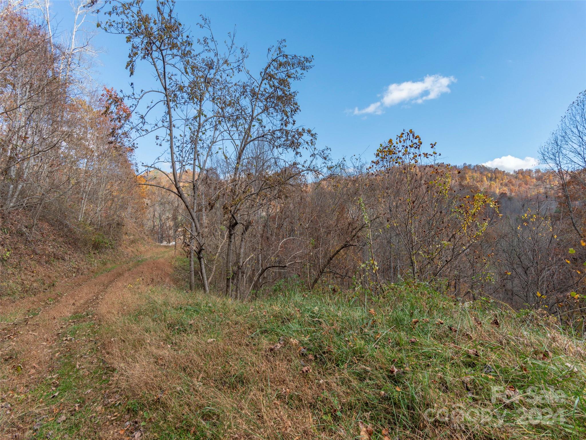 Lot 5 Mcnary Drive Clyde NC 28721