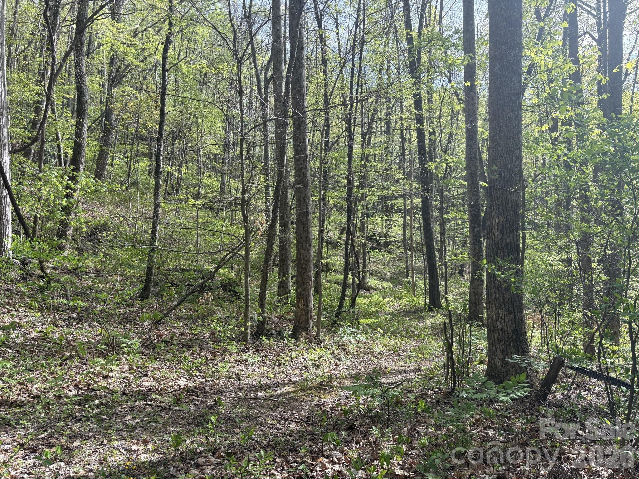 999999 Harwood Road Barnardsville NC 28709