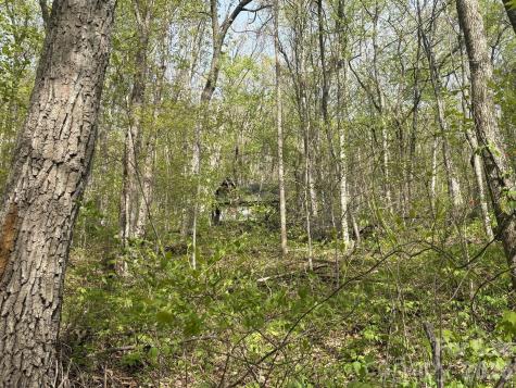 999999 Harwood Road Barnardsville NC 28709