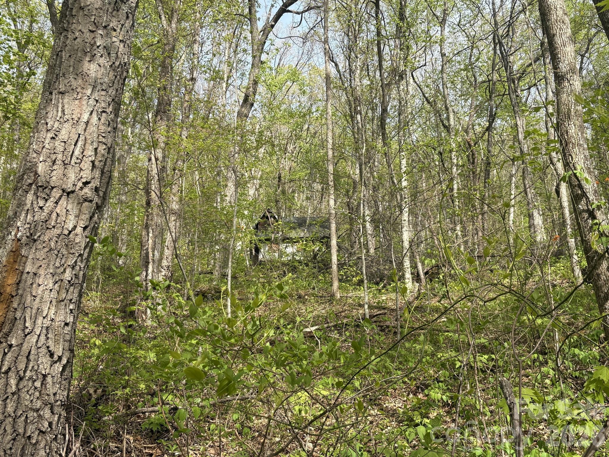 999999 Harwood Road Barnardsville NC 28709