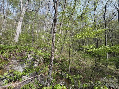 999999 Harwood Road Barnardsville NC 28709