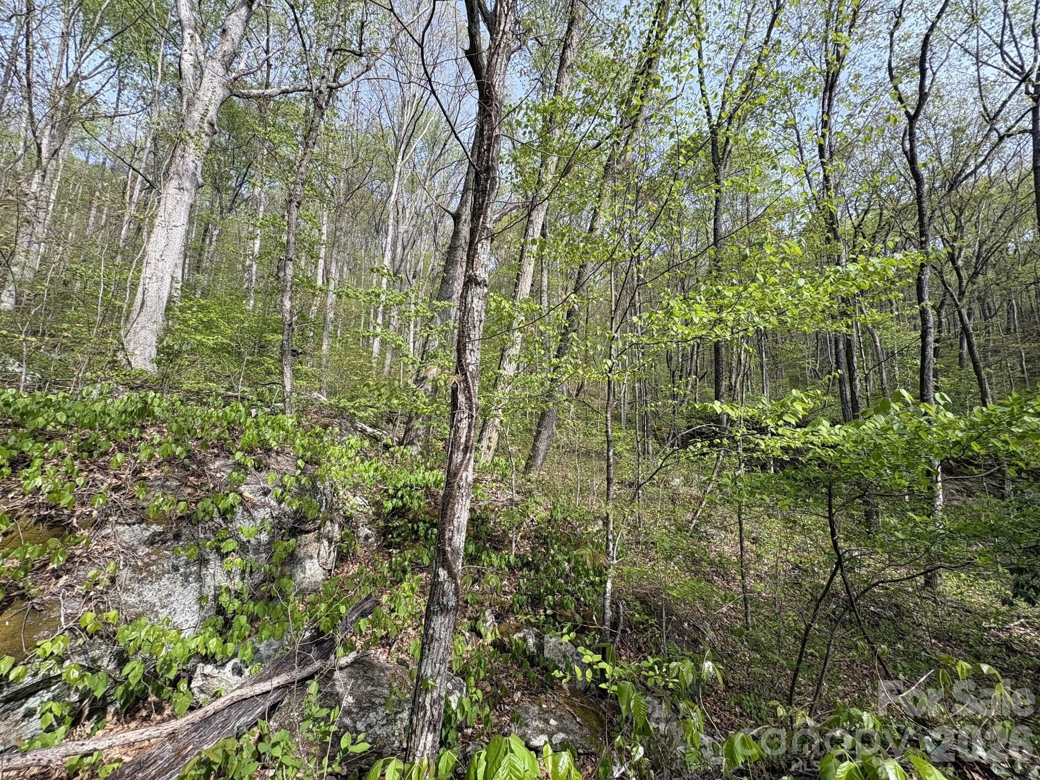 999999 Harwood Road Barnardsville NC 28709