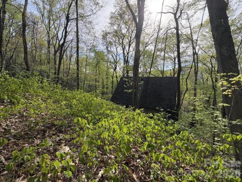 999999 Harwood Road Barnardsville NC 28709