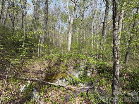 999999 Harwood Road Barnardsville NC 28709