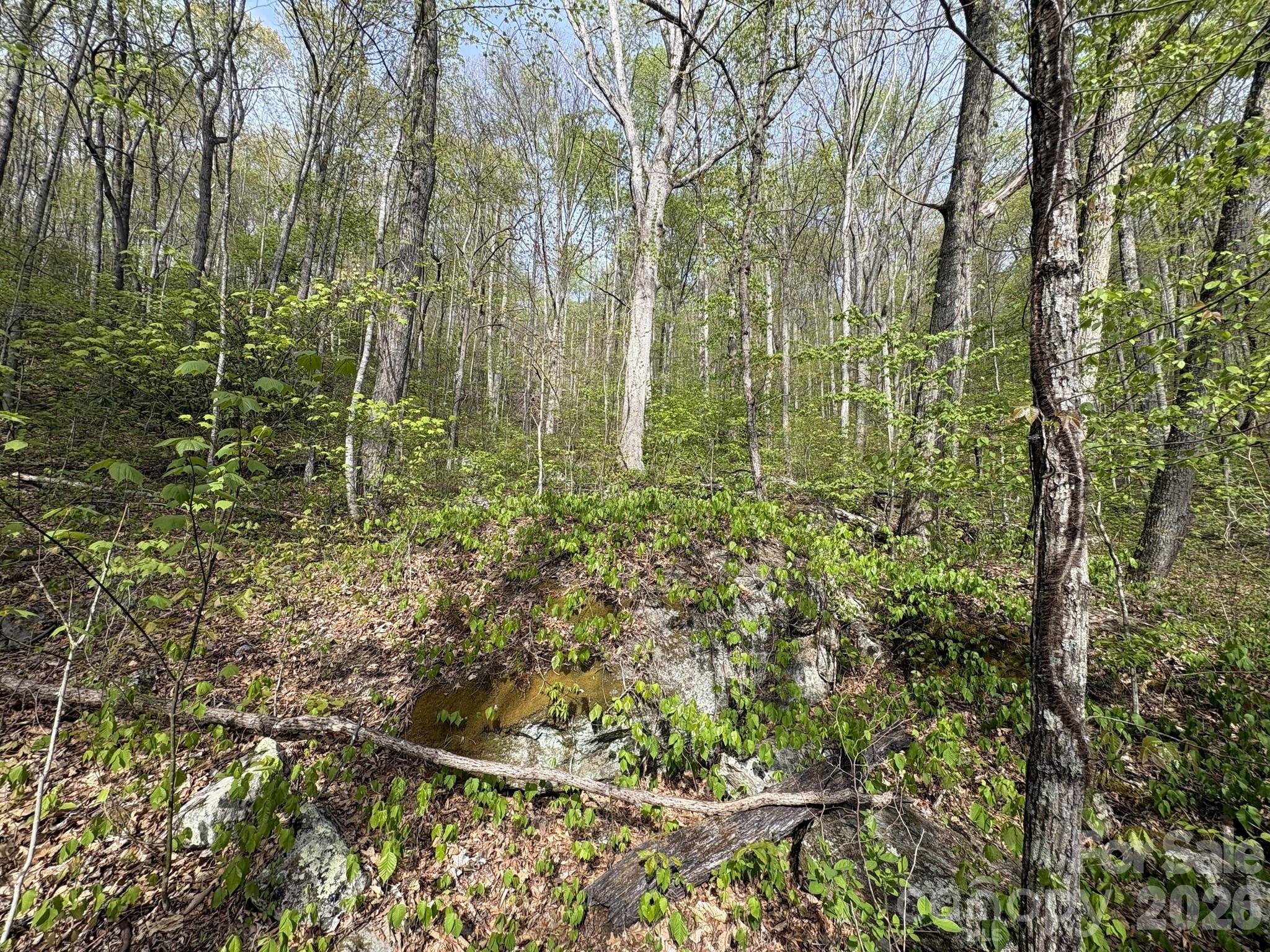 999999 Harwood Road Barnardsville NC 28709