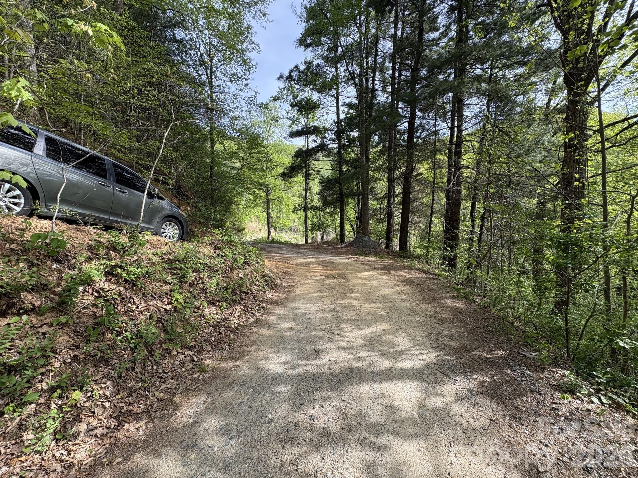 999999 Harwood Road Barnardsville NC 28709