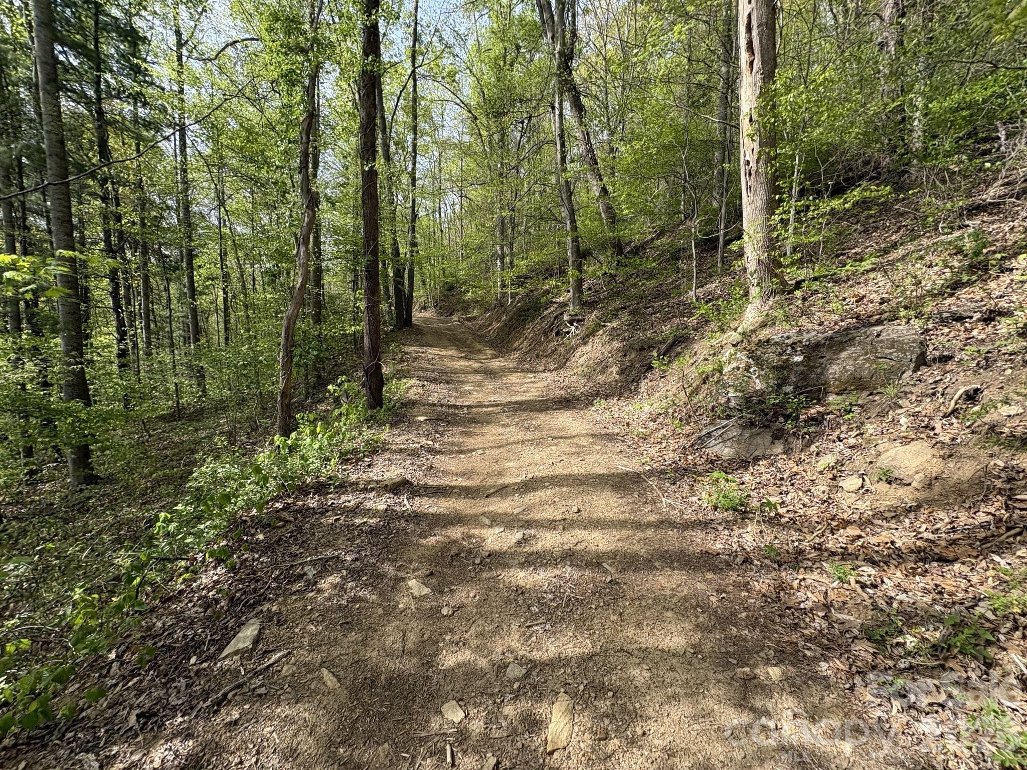999999 Harwood Road Barnardsville NC 28709