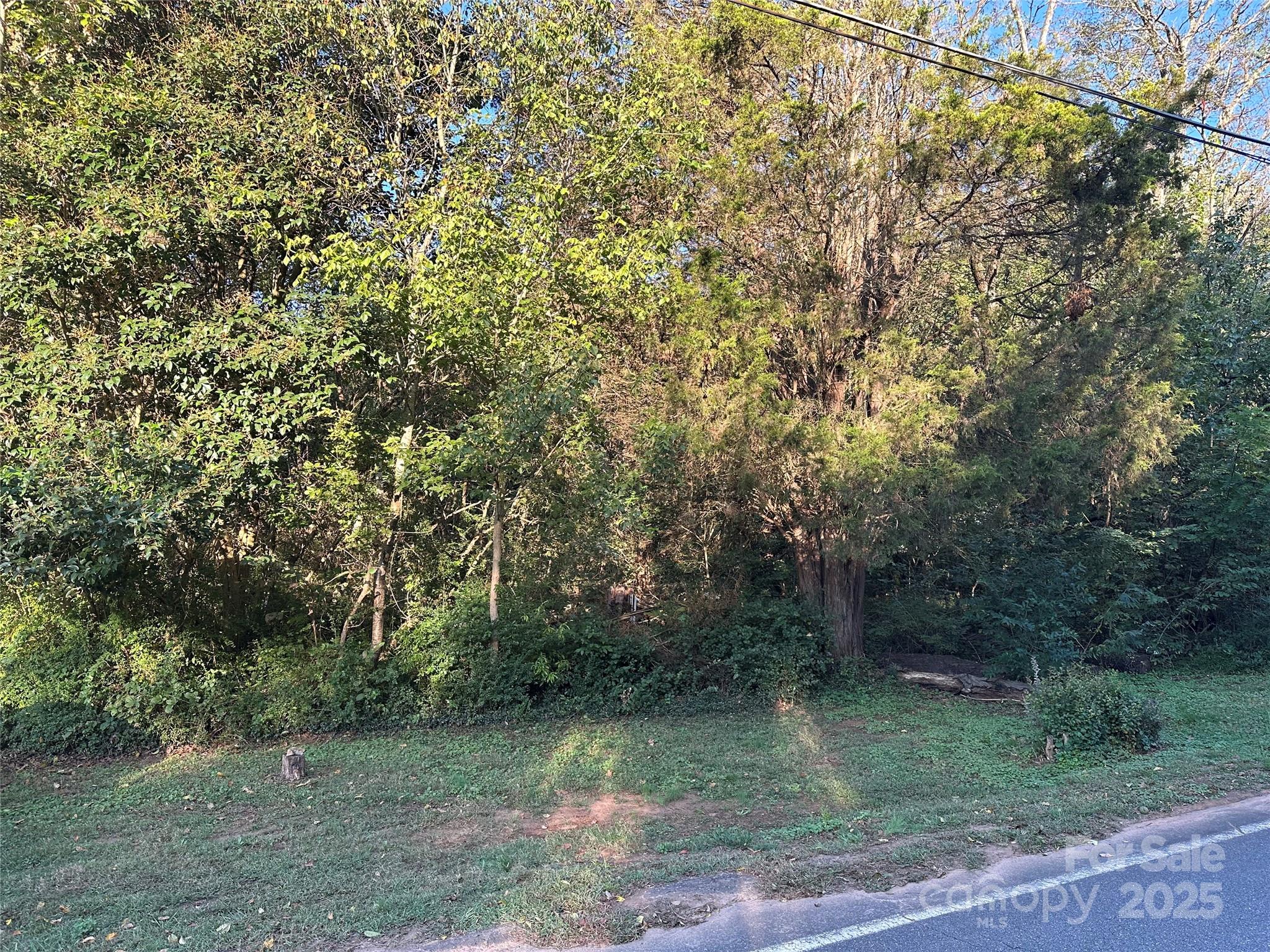 1006 Wall Street Statesville NC 28677