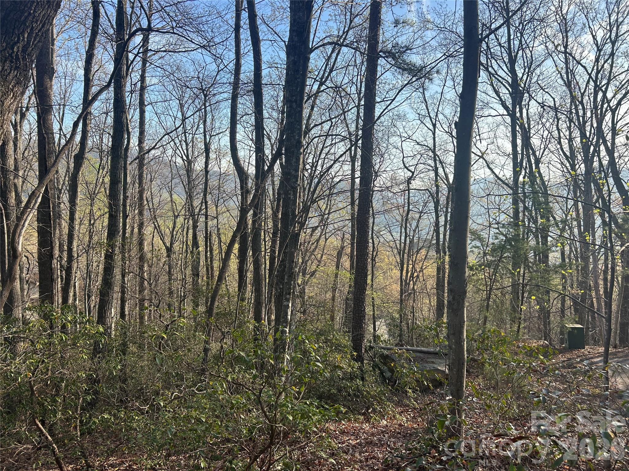 Lot 301 Cardinal Road Lake Lure NC 28746