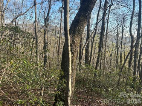 Lot 301 Cardinal Road Lake Lure NC 28746