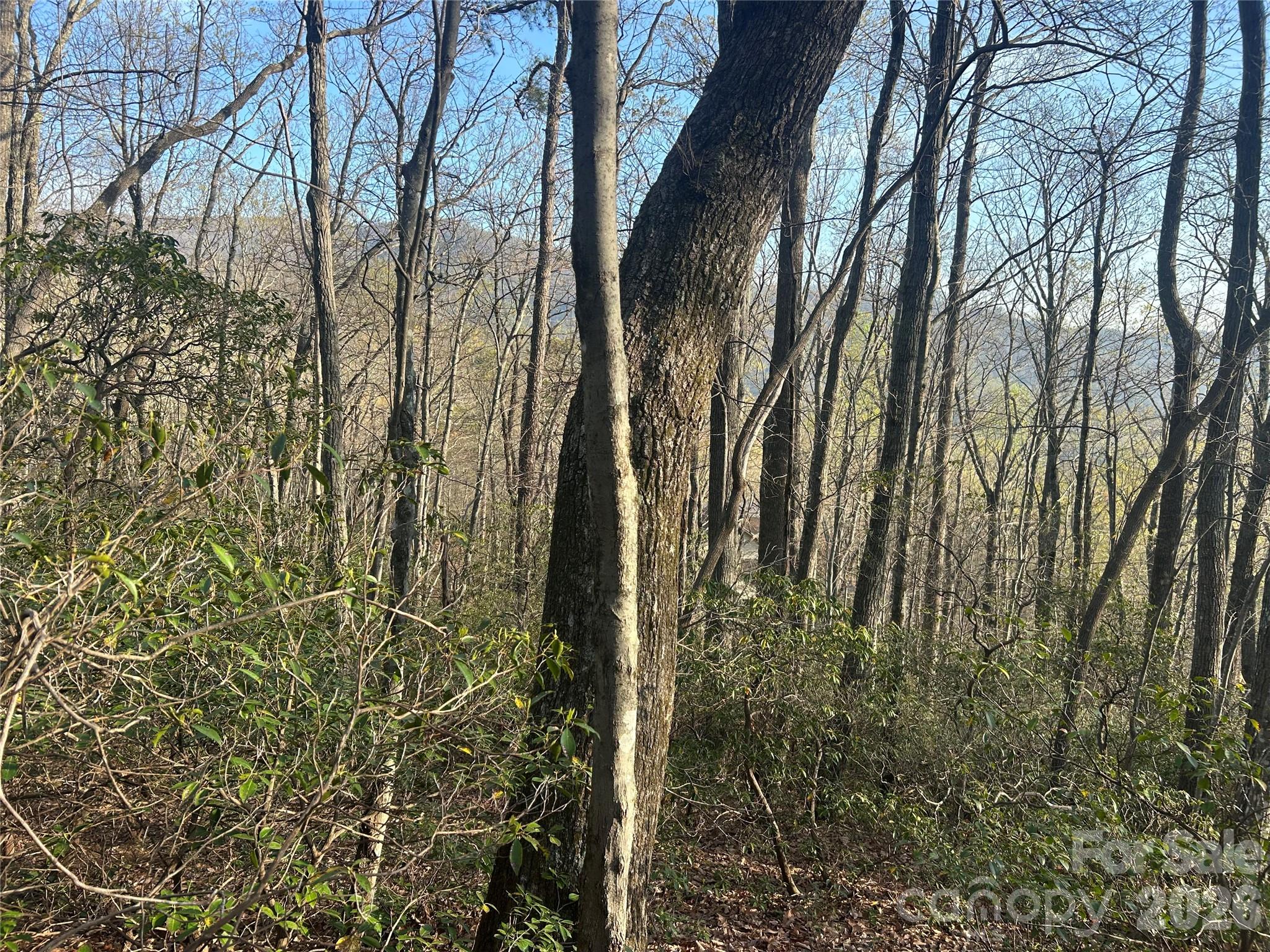 Lot 301 Cardinal Road Lake Lure NC 28746
