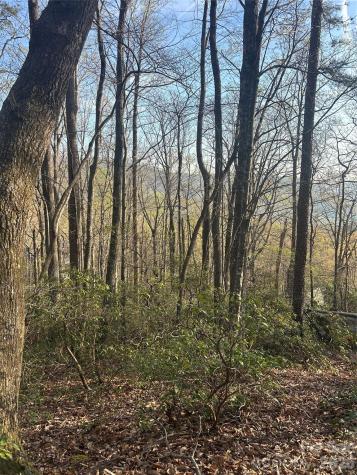 Lot 301 Cardinal Road Lake Lure NC 28746