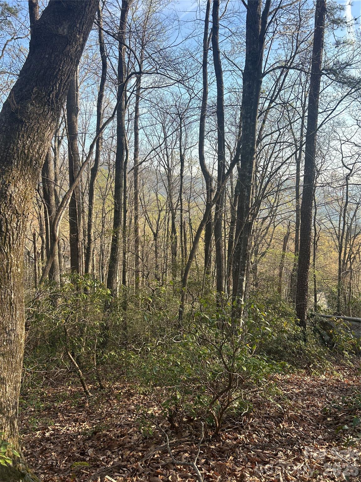 Lot 301 Cardinal Road Lake Lure NC 28746
