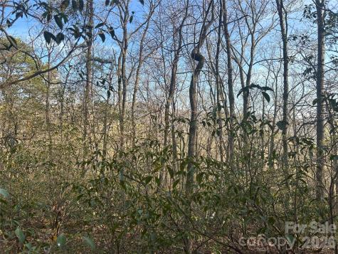 Lot 301 Cardinal Road Lake Lure NC 28746