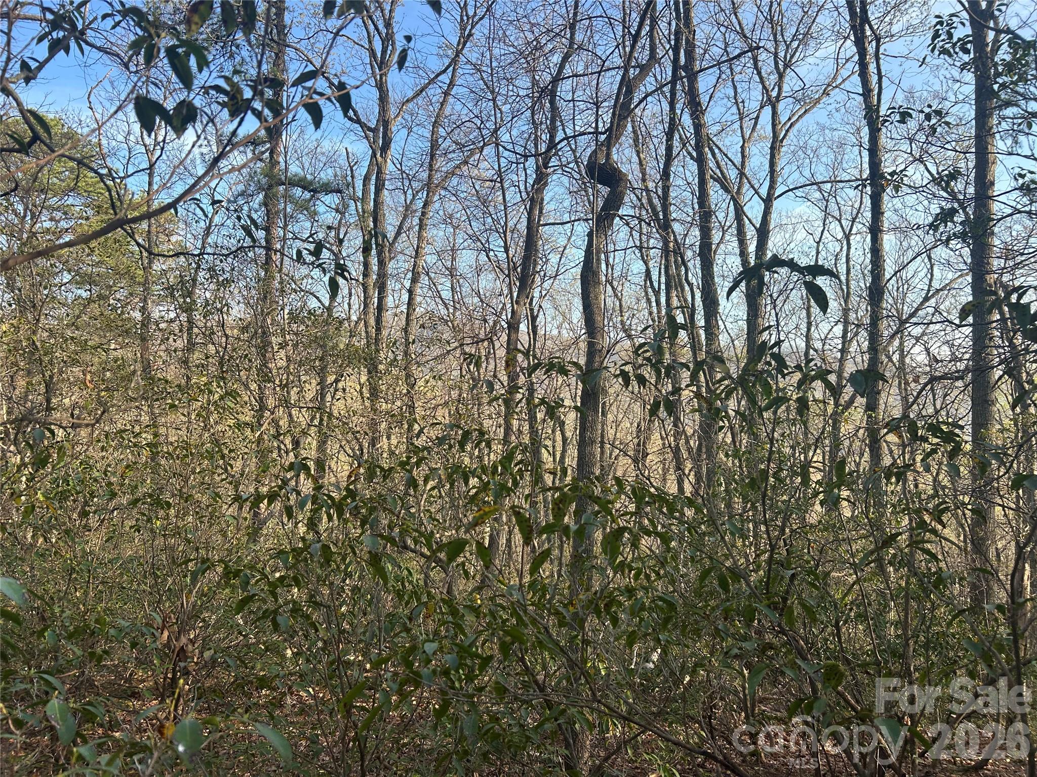 Lot 301 Cardinal Road Lake Lure NC 28746