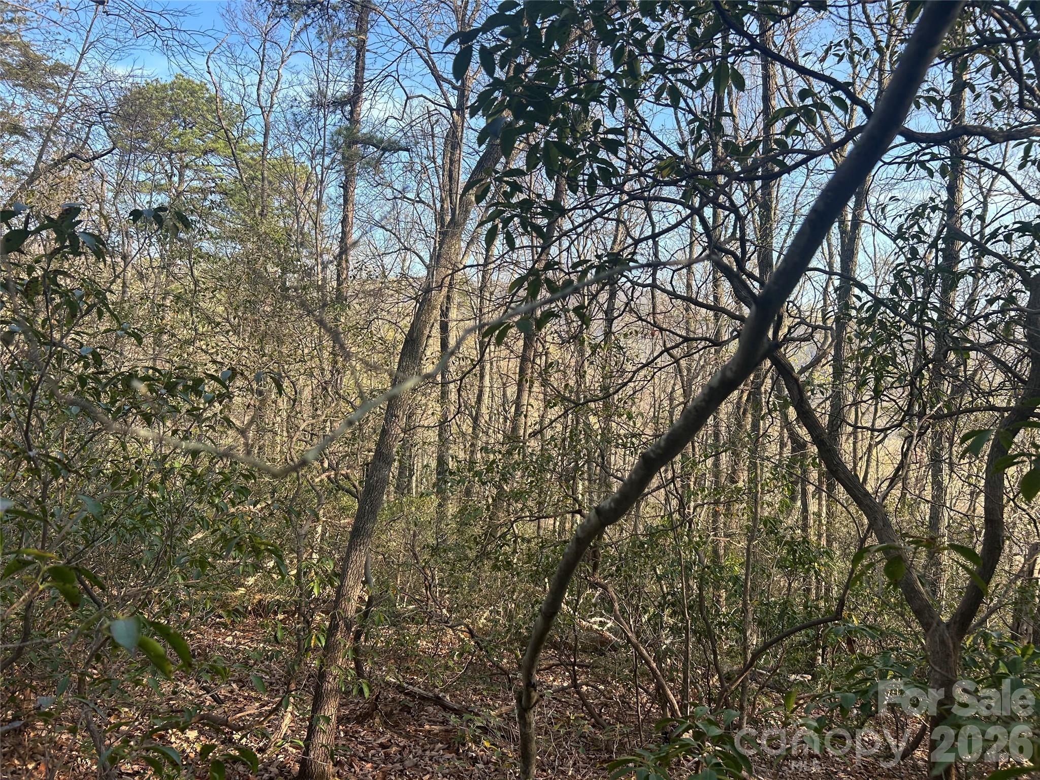 Lot 301 Cardinal Road Lake Lure NC 28746