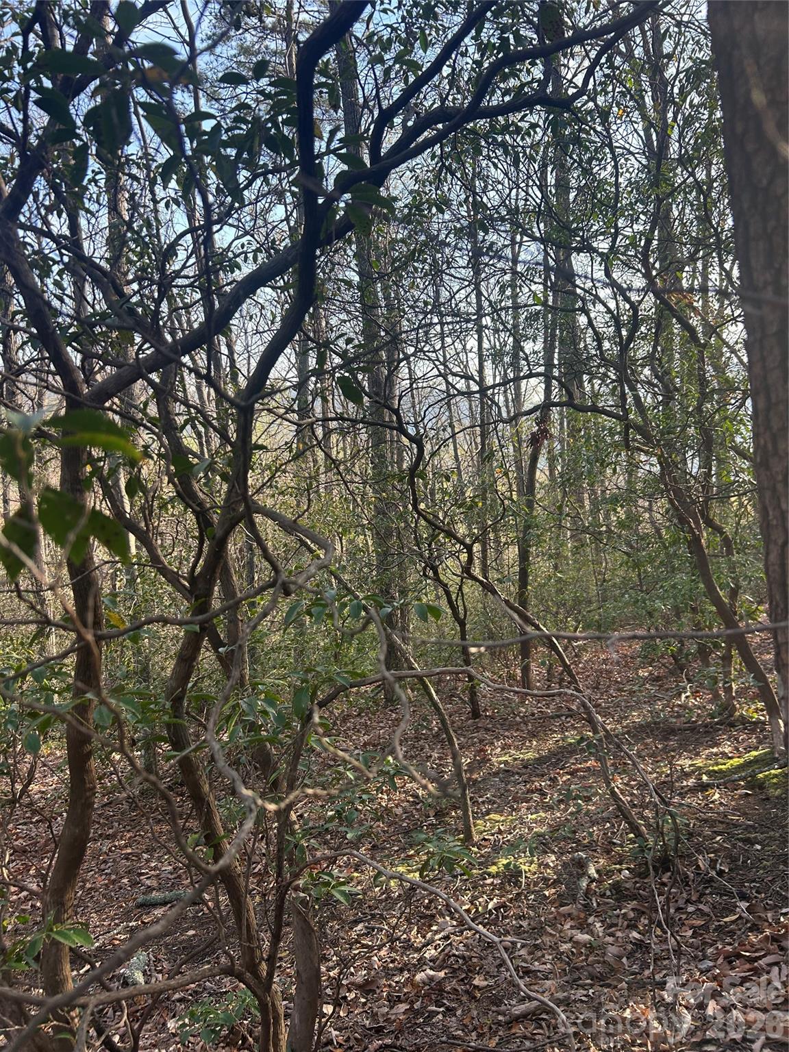 Lot 301 Cardinal Road Lake Lure NC 28746