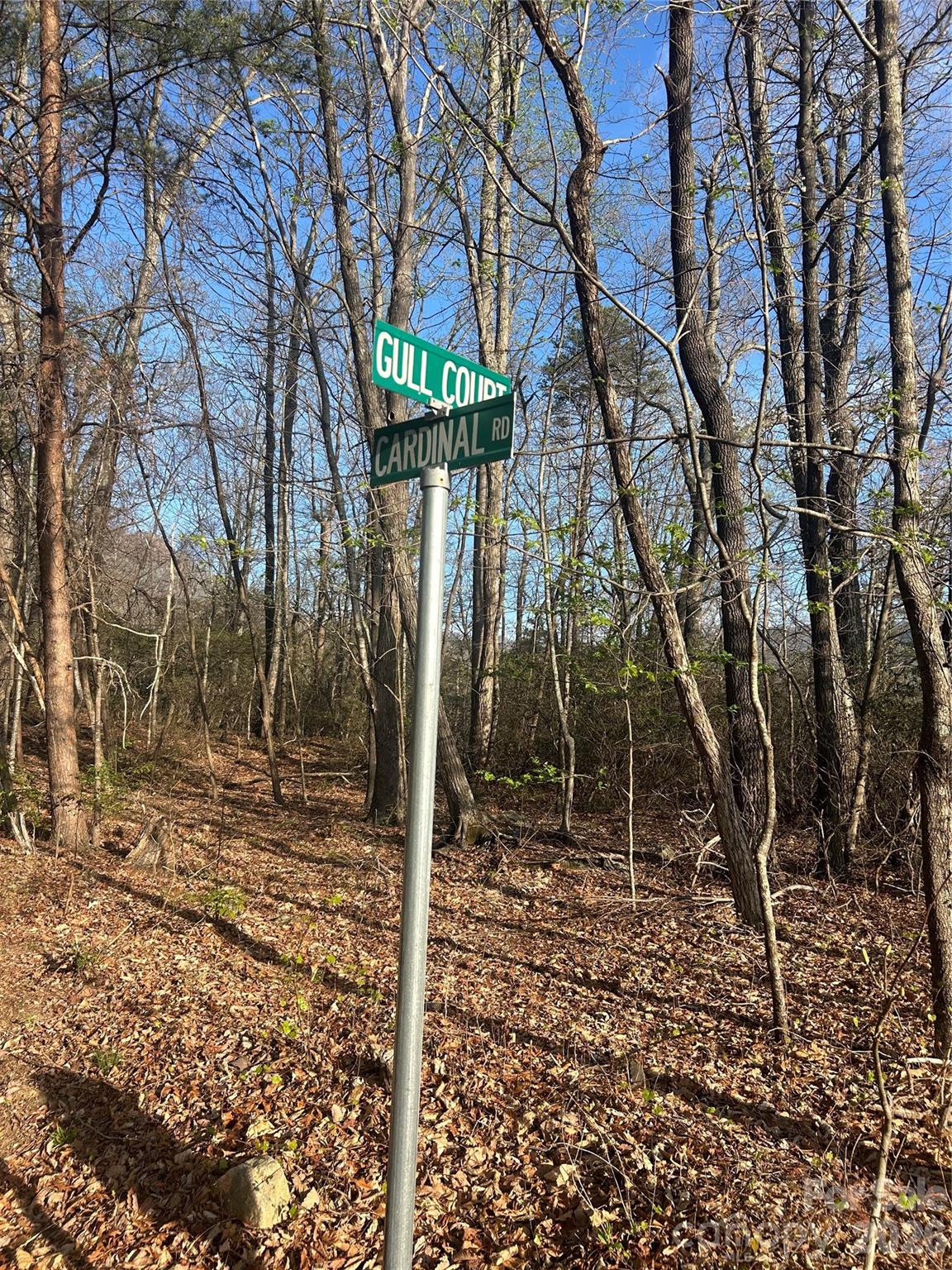Lot 301 Cardinal Road Lake Lure NC 28746