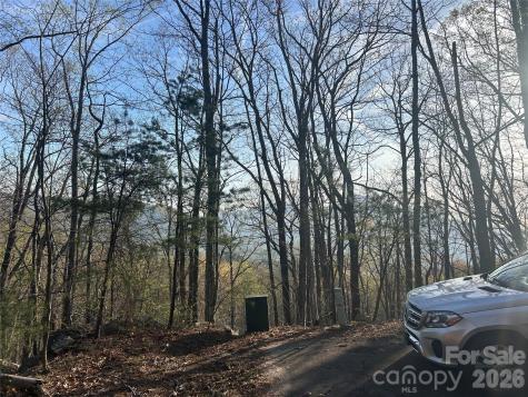 Lot 301 Cardinal Road Lake Lure NC 28746