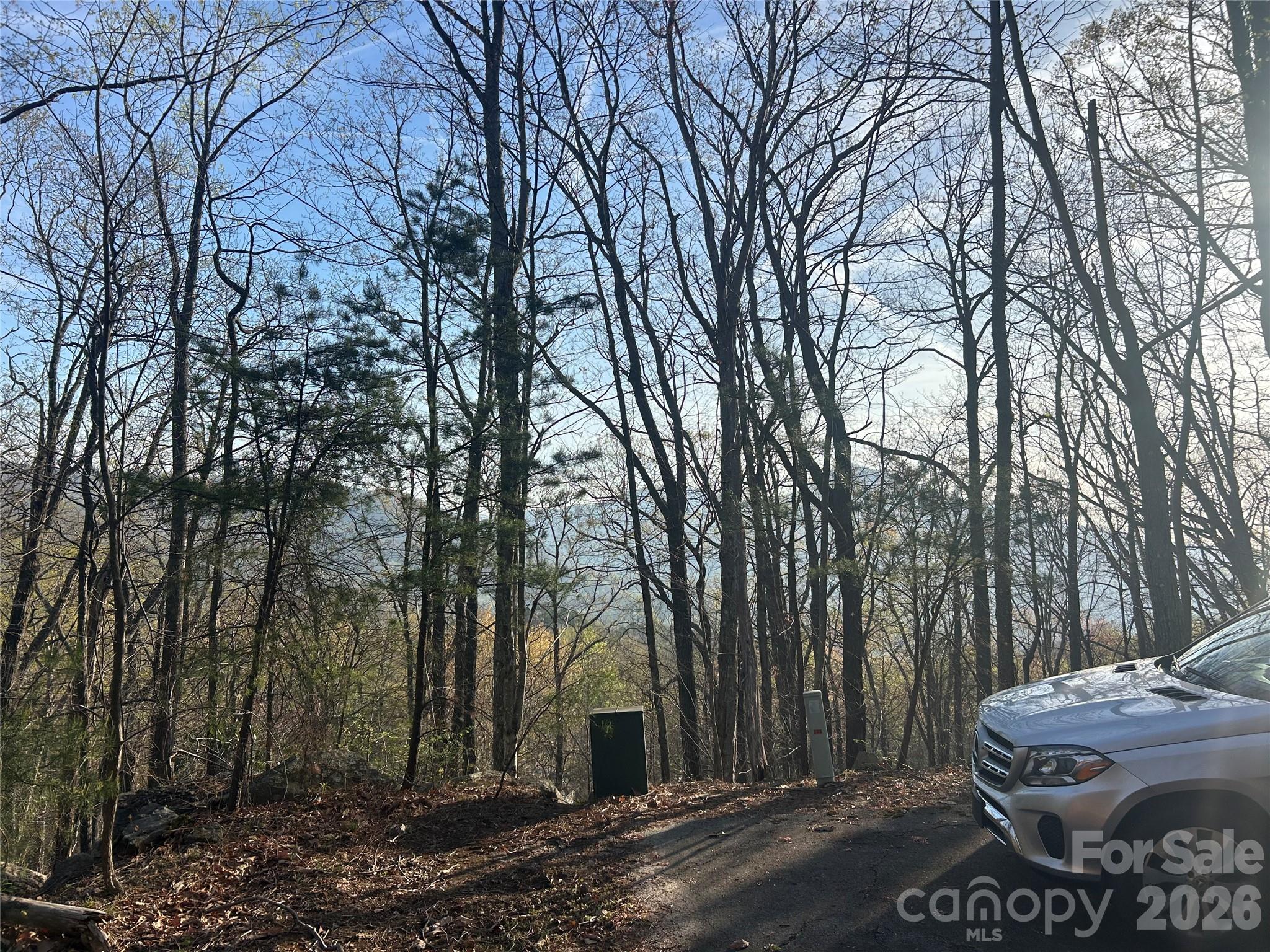 Lot 301 Cardinal Road Lake Lure NC 28746