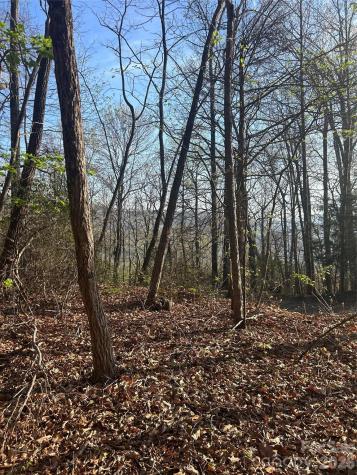 Lot 301 Cardinal Road Lake Lure NC 28746