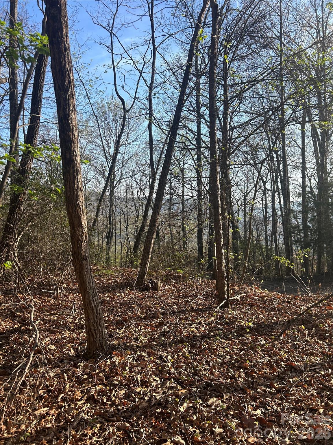 Lot 301 Cardinal Road Lake Lure NC 28746