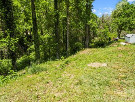 20 Riverlink Lane Asheville NC 28806
