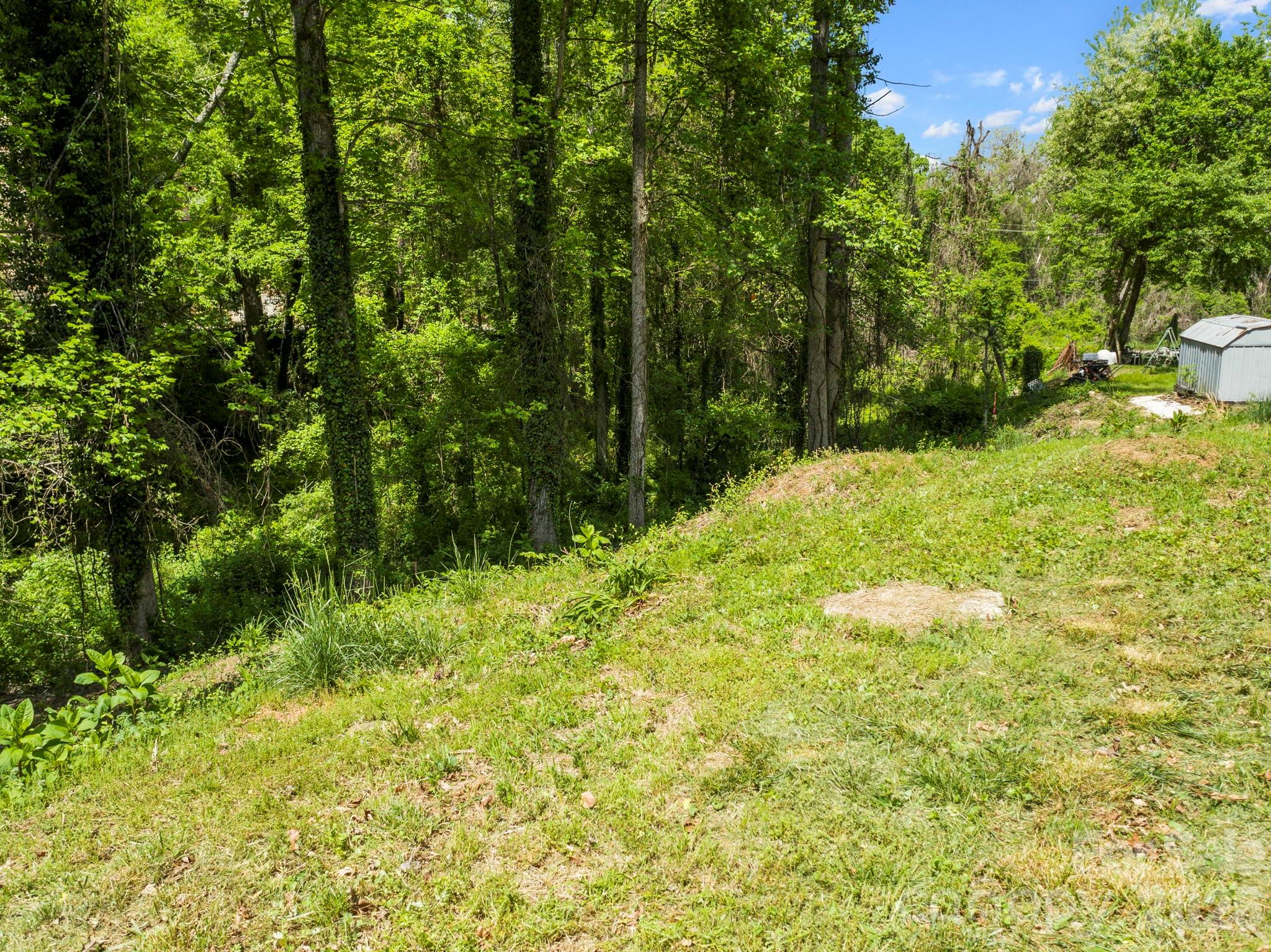 20 Riverlink Lane Asheville NC 28806