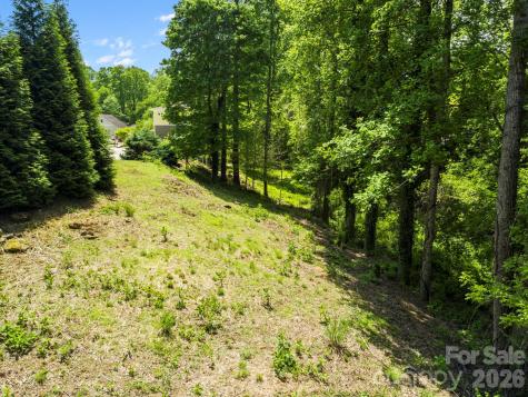 20 Riverlink Lane Asheville NC 28806