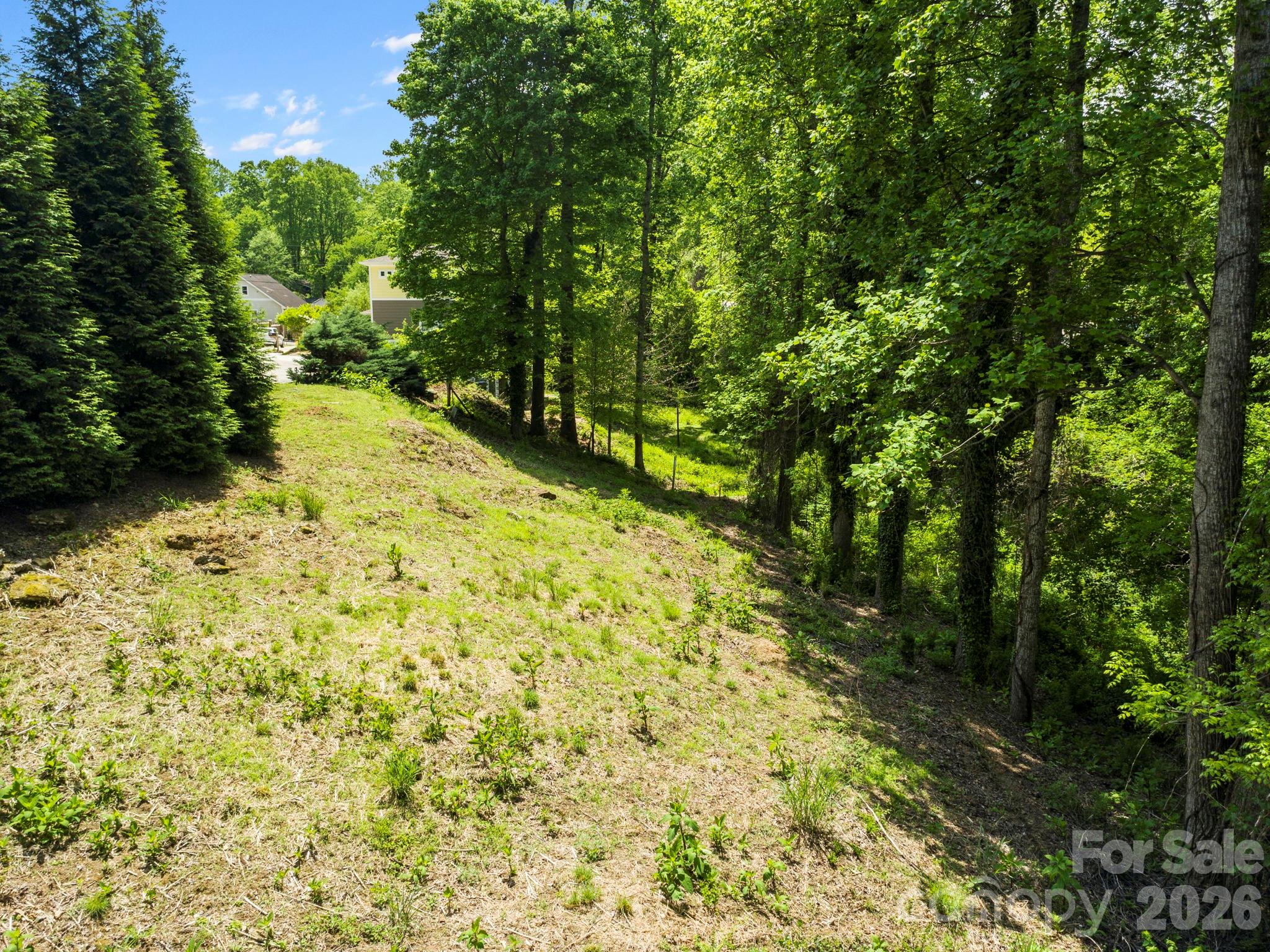 20 Riverlink Lane Asheville NC 28806