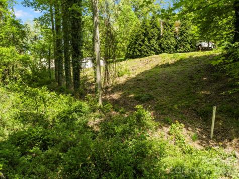 20 Riverlink Lane Asheville NC 28806