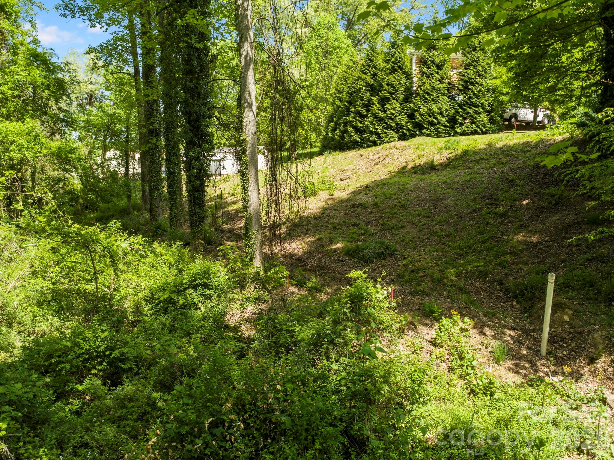 20 Riverlink Lane Asheville NC 28806
