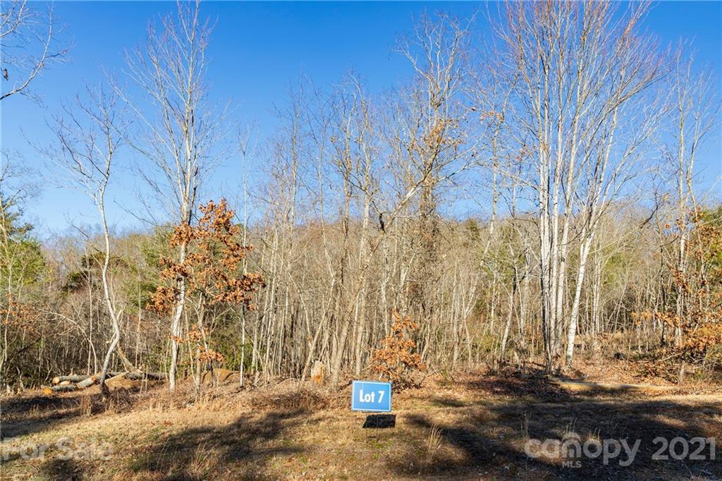 120 Saddle Ridge Drive Alexander NC 28701