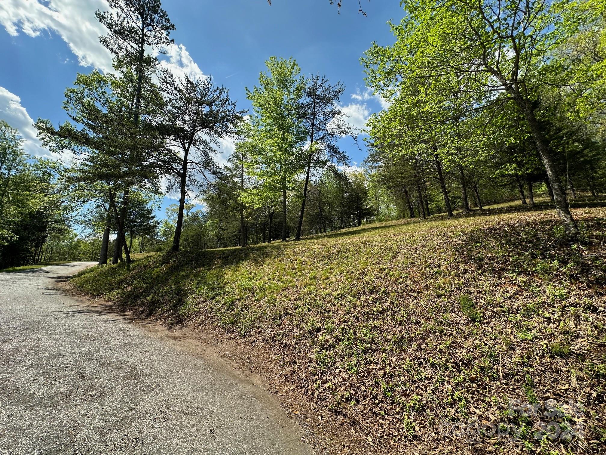 306 Rock Ledge Drive Lake Lure NC 28746