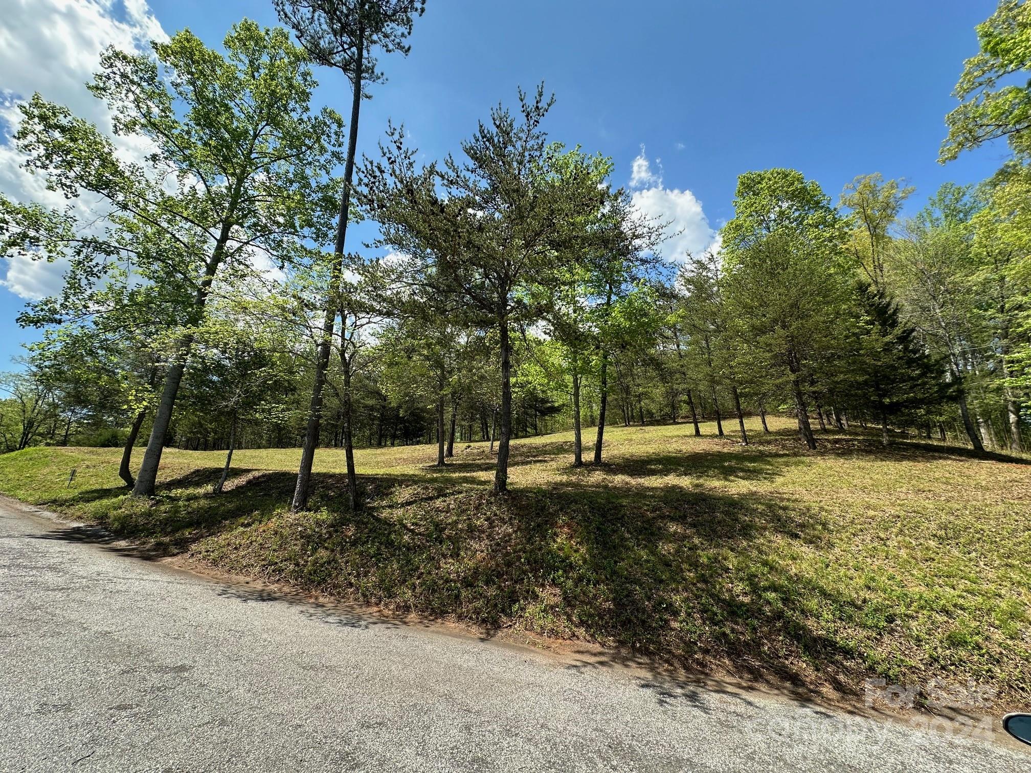 306 Rock Ledge Drive Lake Lure NC 28746