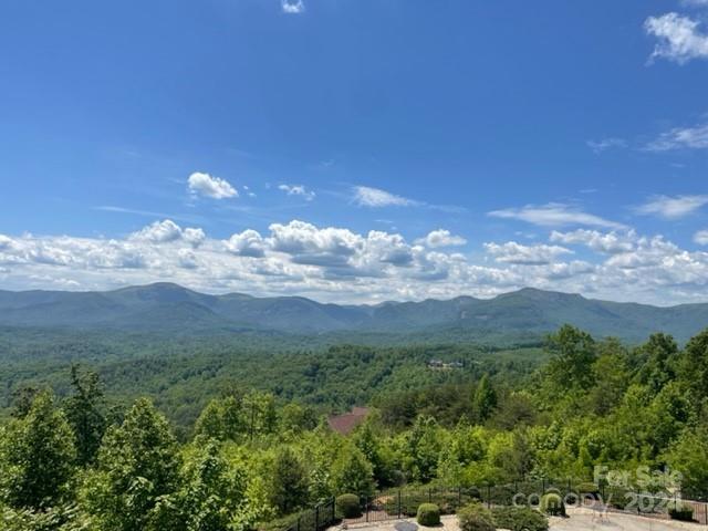 306 Rock Ledge Drive Lake Lure NC 28746