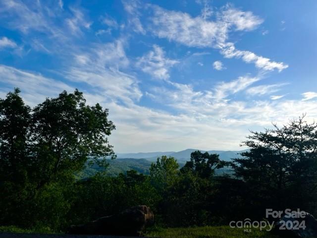 306 Rock Ledge Drive Lake Lure NC 28746